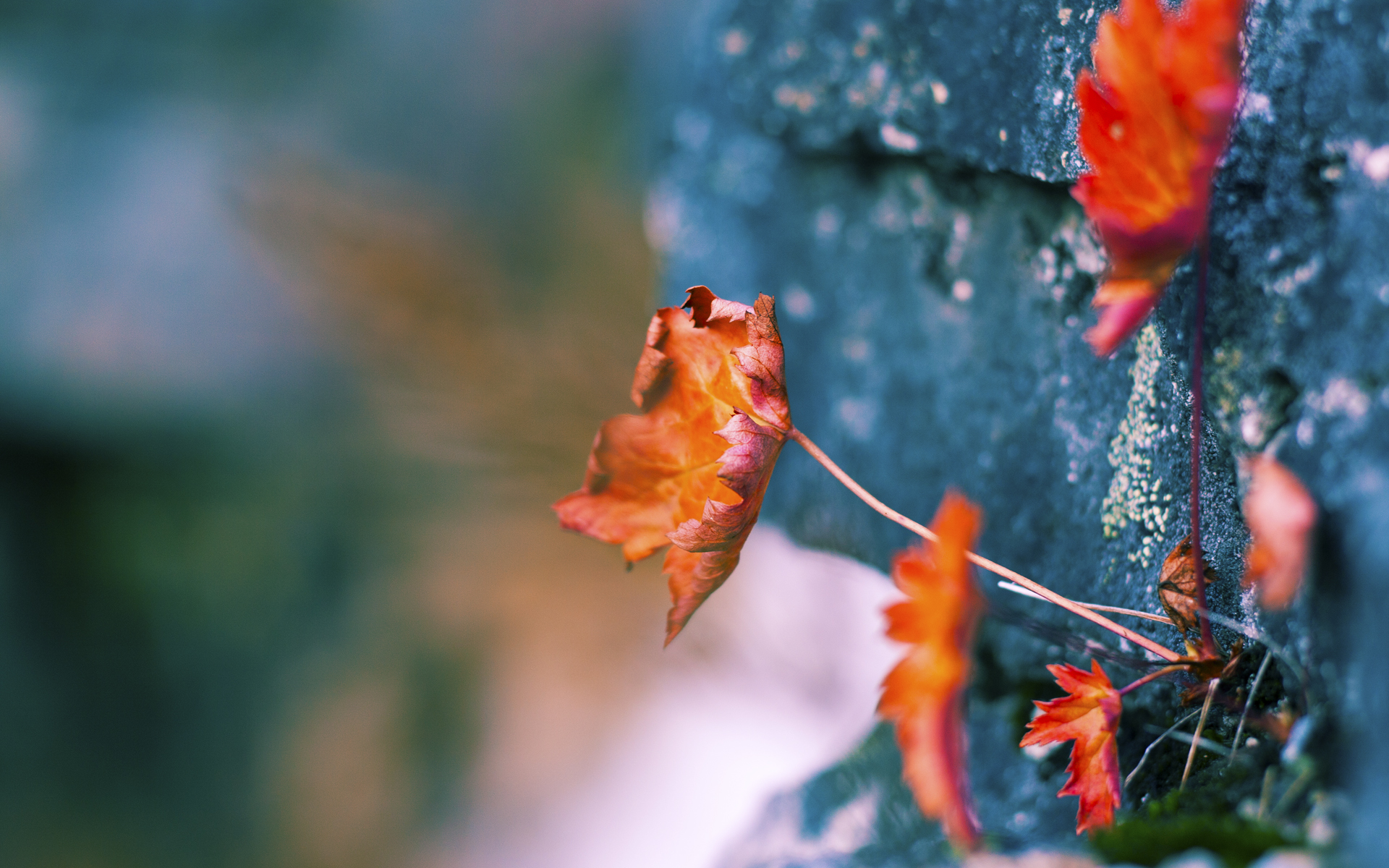 拯救“危局”——那些在比赛末段力挽狂澜的英勇瞬间，挽救危局的成语