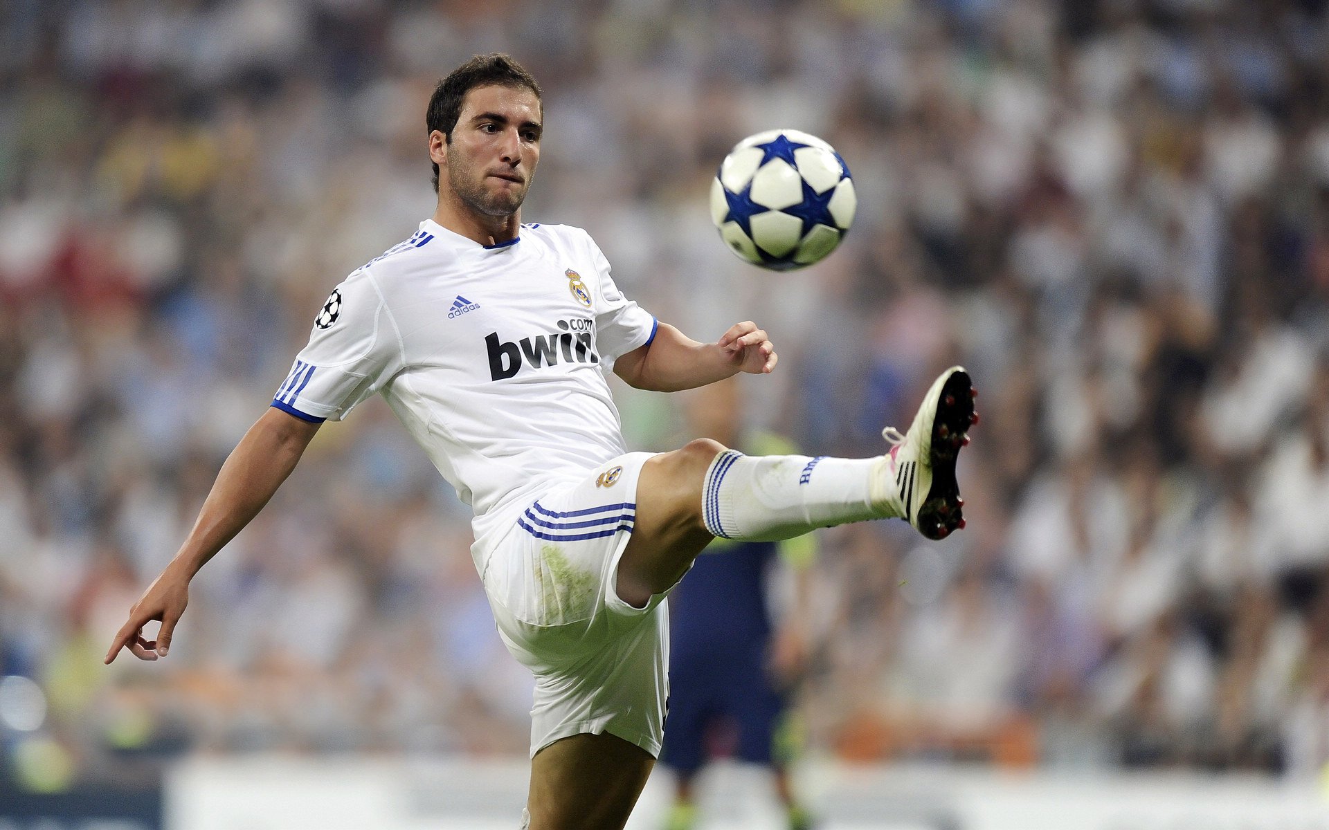 女子橄榄球商业价值快速上升,女子橄榄球运动