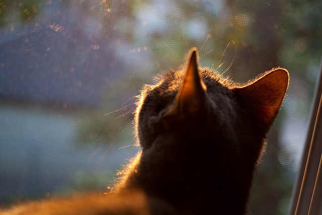 爱游戏真人体育娱乐-CS2 赛区对抗激烈升级，cs2 赛区对抗激烈升级有影响吗