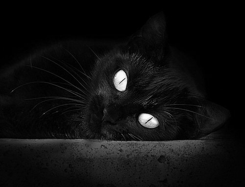 爱游戏体验-_运动科技大数据：助力运动员赢在起点_，运动员数据分析软件