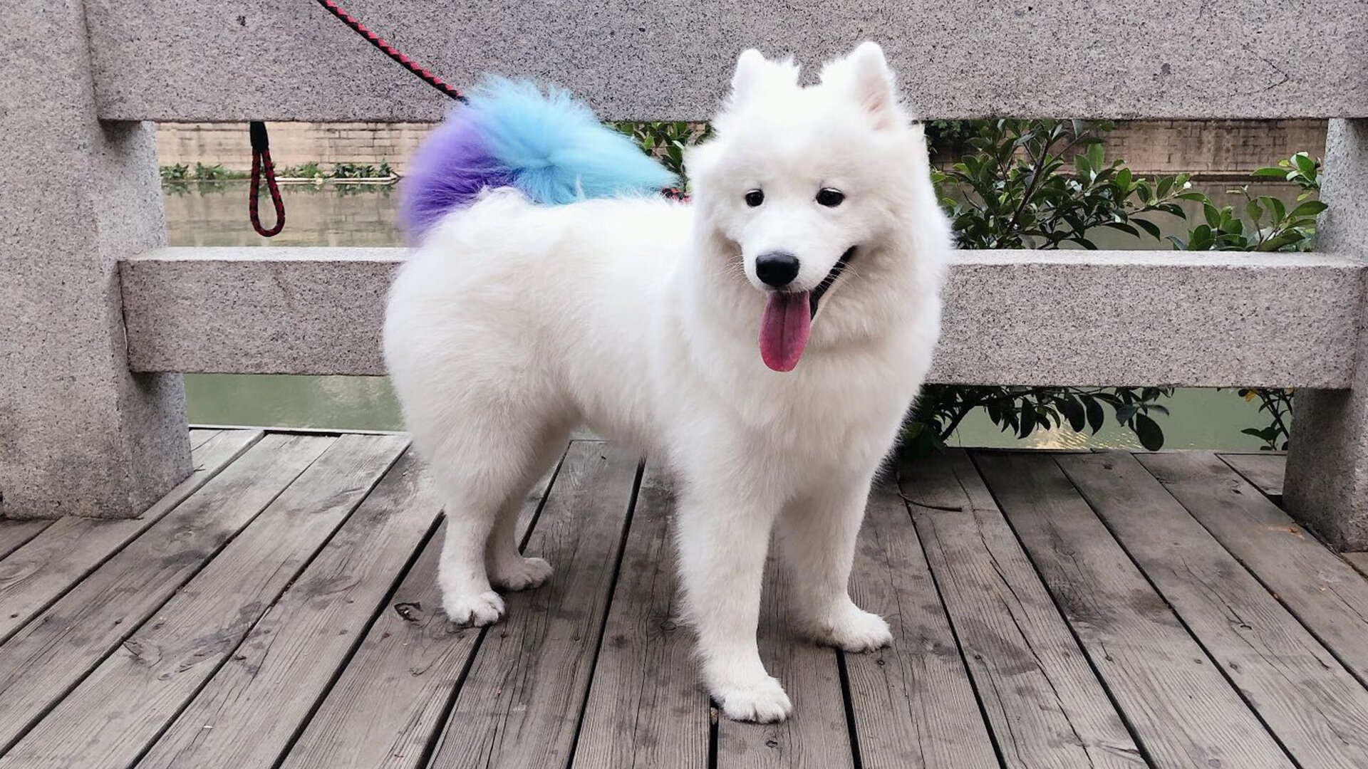 爱游戏中国官方登录入口网站-塞内加尔主帅：我们的足球没有季节限制，塞内加尔足球实力