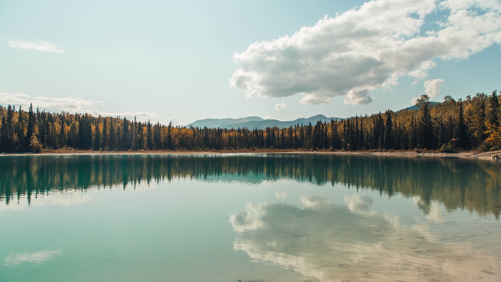 爱游戏赛事中心-新建球场背后的秘密：投资与未来规划，新建足球场